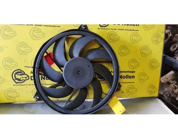 Radiator Electric Fan  Motor PEUGEOT 206 Schrägheck (2A/C), PEUGEOT 206 Stufenheck (--)