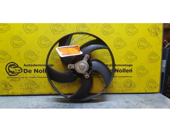 Radiator Electric Fan  Motor PEUGEOT 206 SW (2E/K)