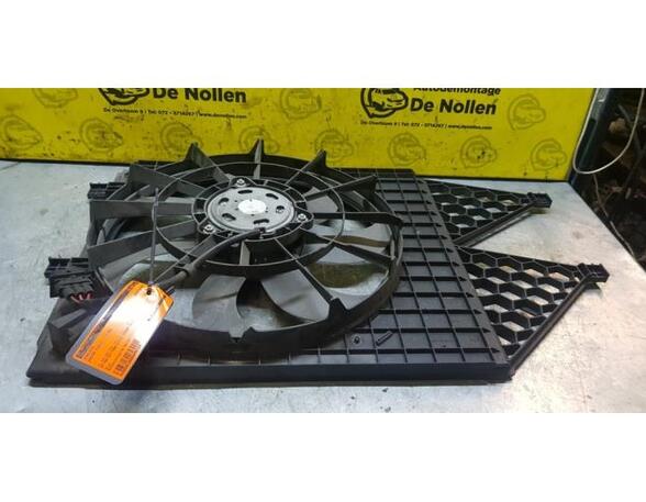 Radiator Electric Fan  Motor SKODA Fabia II (542)