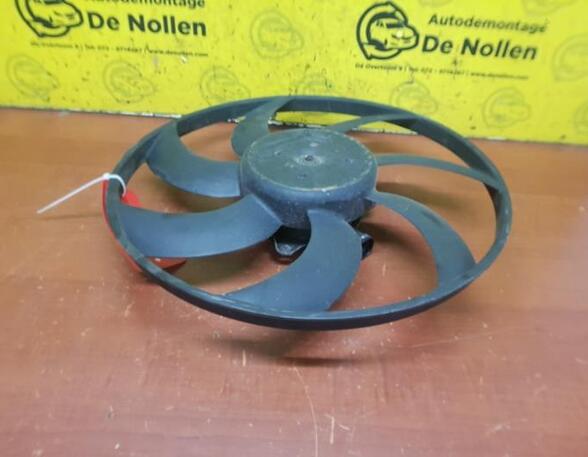 Radiator Electric Fan  Motor PEUGEOT 208 I (CA, CC)