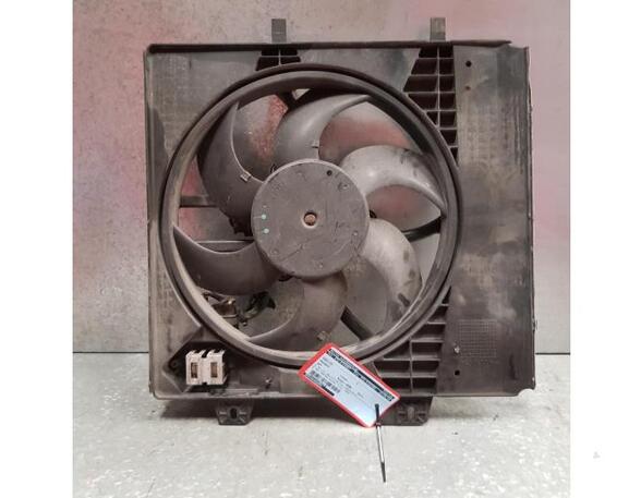 Radiator Electric Fan  Motor PEUGEOT 207 (WA, WC)