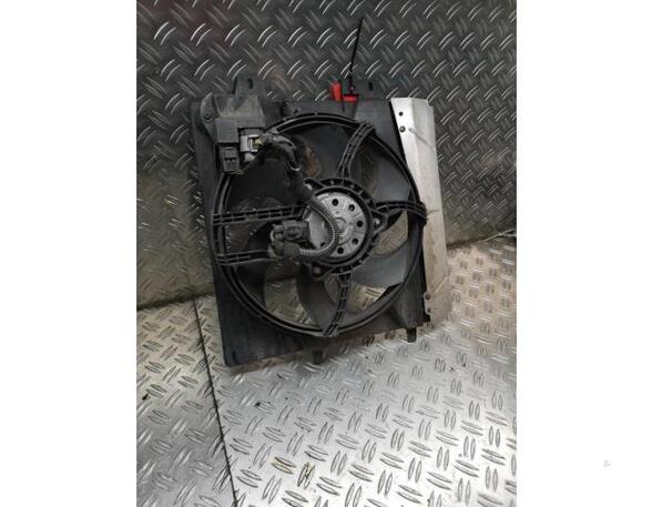 Radiator Electric Fan  Motor PEUGEOT 207 (WA, WC)