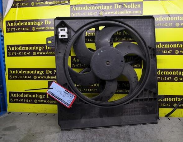 Radiator Electric Fan  Motor PEUGEOT 207 (WA, WC)