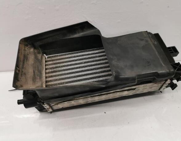 Intercooler FORD FOCUS III