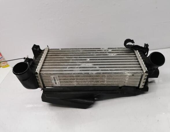 Intercooler FORD FOCUS III