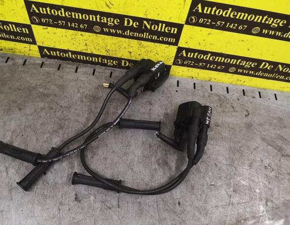 Ignition Coil RENAULT Megane Scenic (JA0/1)