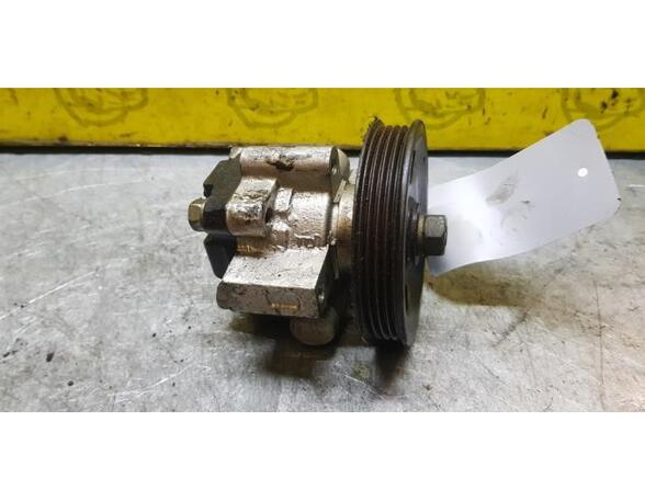 Power steering pump CHEVROLET Aveo/Kalos Schrägheck (T200), DAEWOO Kalos (KLAS)