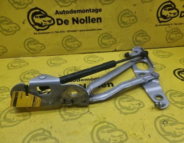 Heckklap hinge AUDI TT (8J3)