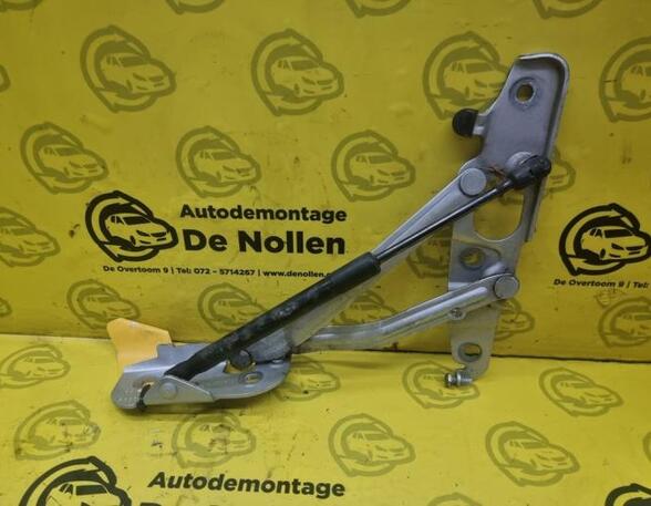 Heckklap hinge AUDI TT (8J3)