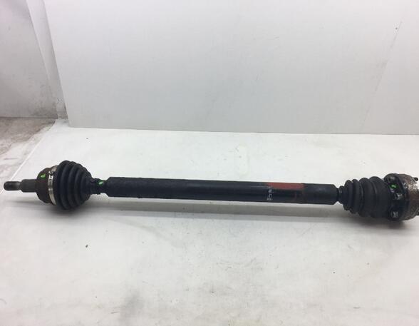 Drive Shaft VW Golf IV (1J1)