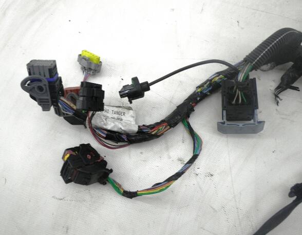 Engine Wiring Harness CITROËN C4 Grand Picasso I (UA_), CITROËN C4 Picasso I Großraumlimousine (UD_)