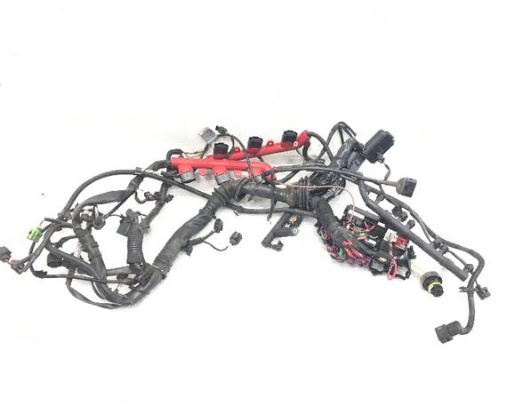 Engine Wiring Harness AUDI Q5 (8RB)