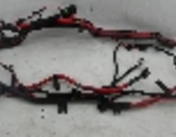 Wiring Harness BMW X5 (E70)