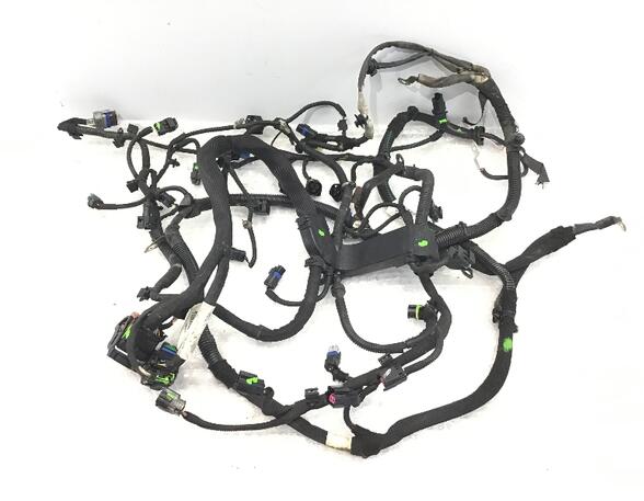 Wiring Harness PEUGEOT 207 CC (WD)