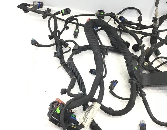 Wiring Harness PEUGEOT 207 CC (WD)