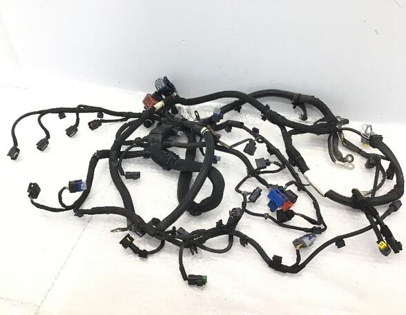 Wiring Harness PEUGEOT 207 CC (WD)