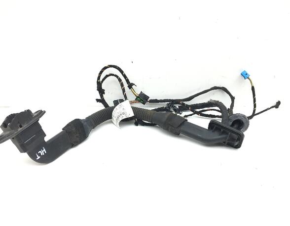 Door Wiring Harness MERCEDES-BENZ R-Klasse (V251, W251)