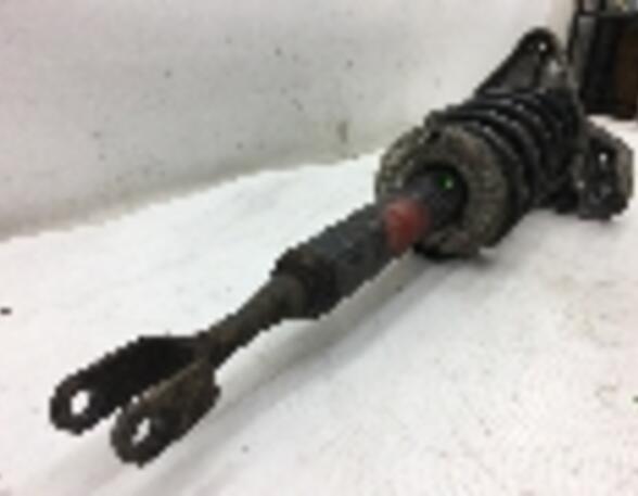 Suspension Strut AUDI A4 (8E2, B6)