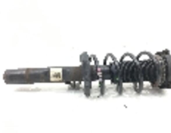 Suspension Strut AUDI A3 (8P1)