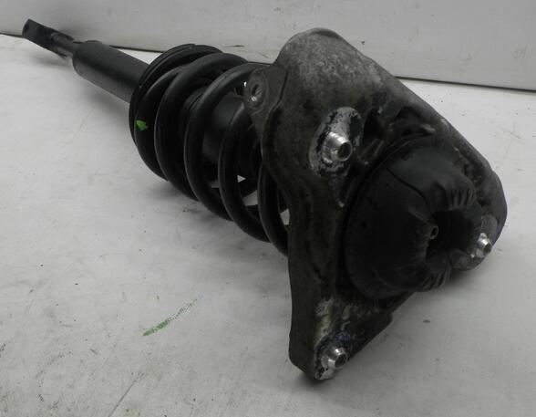 Suspension Strut AUDI A4 (8E2, B6)