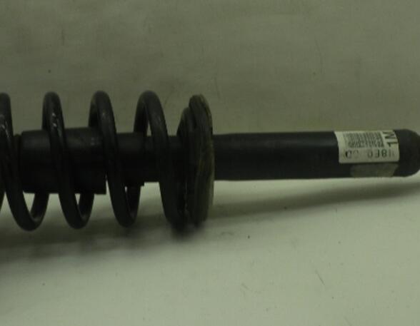 Suspension Strut AUDI A4 Avant (8ED, B7)