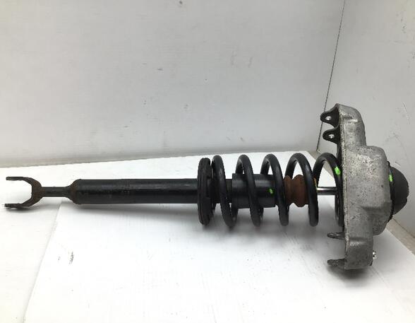 Suspension Strut AUDI A6 (4F2, C6)