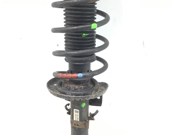 Suspension Strut SKODA ROOMSTER (5J7), SKODA ROOMSTER Praktik (5J)