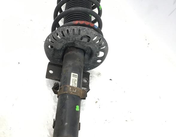 Suspension Strut SKODA ROOMSTER (5J7), SKODA ROOMSTER Praktik (5J)