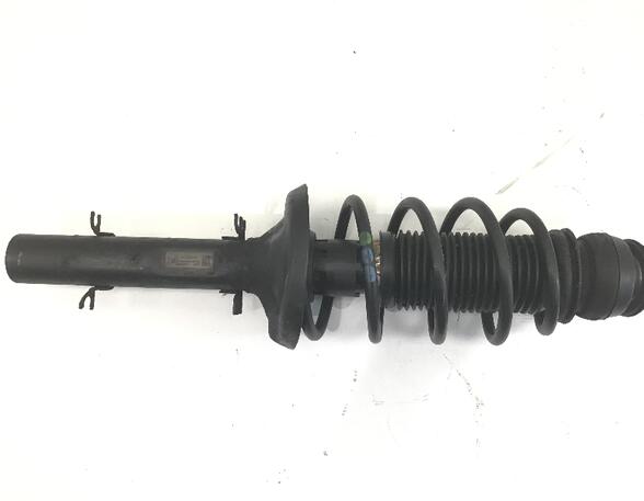 Suspension Strut VW GOLF IV (1J1)