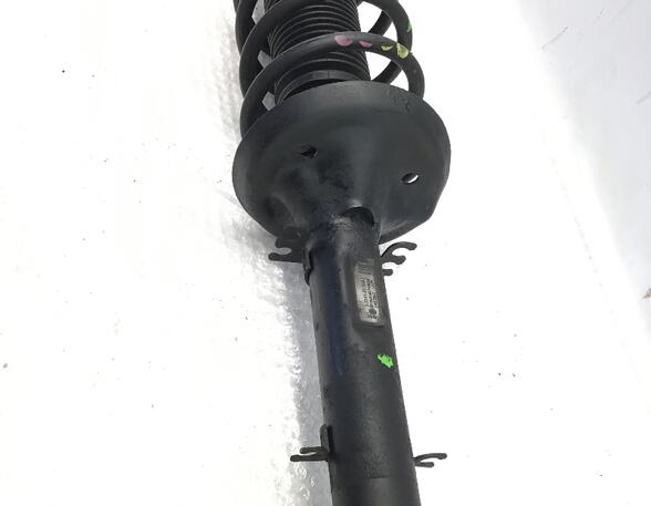 Suspension Strut SEAT LEON (1M1)