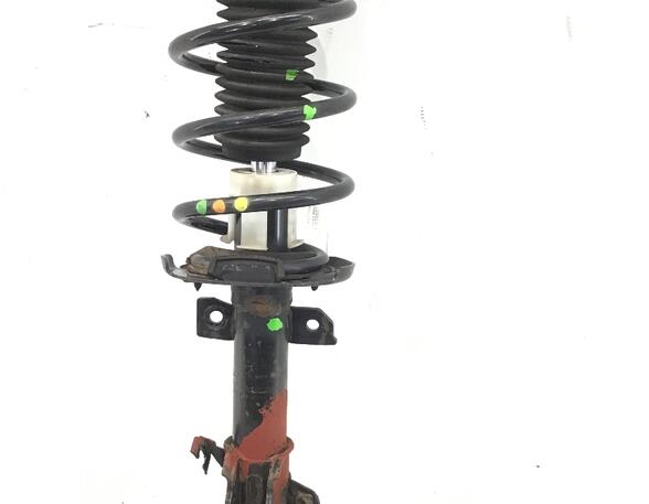 Suspension Strut FORD FIESTA VI (CB1, CCN)