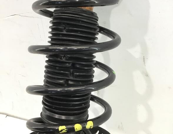 Suspension Strut AUDI A3 (8P1), AUDI A3 Sportback (8PA)