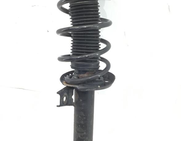 Suspension Strut AUDI A3 (8P1), AUDI A3 Sportback (8PA)