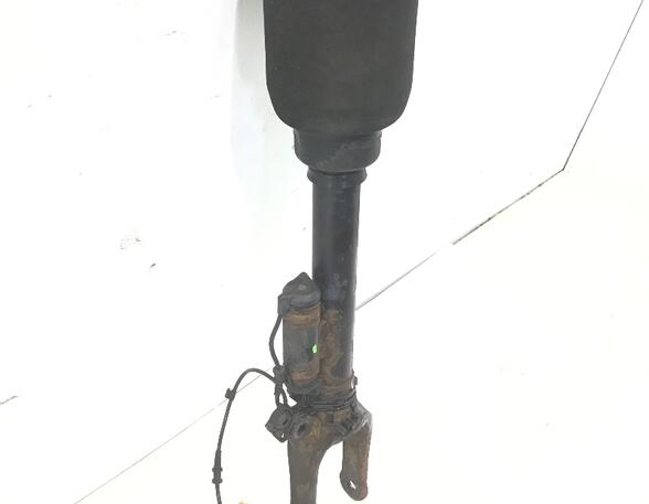 Suspension Strut MERCEDES-BENZ M-CLASS (W164)