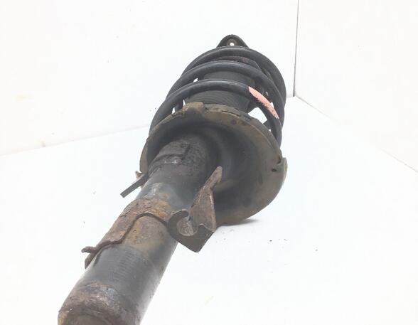 Suspension Strut FORD FOCUS C-MAX (DM2), FORD C-MAX (DM2), FORD KUGA I, FORD KUGA II (DM2)