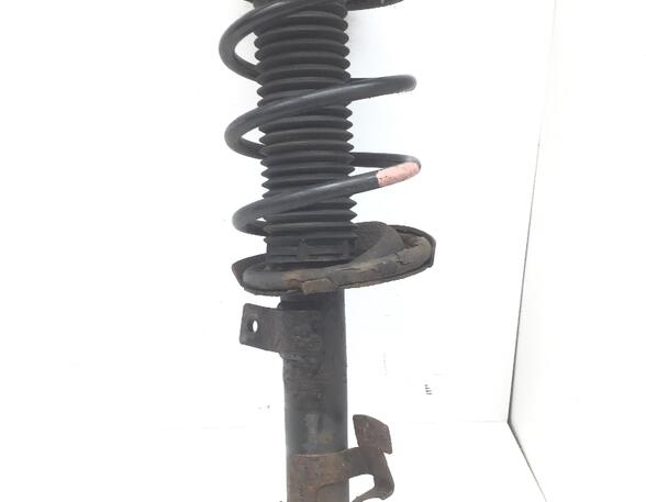 Suspension Strut FORD FOCUS C-MAX (DM2), FORD C-MAX (DM2), FORD KUGA I, FORD KUGA II (DM2)