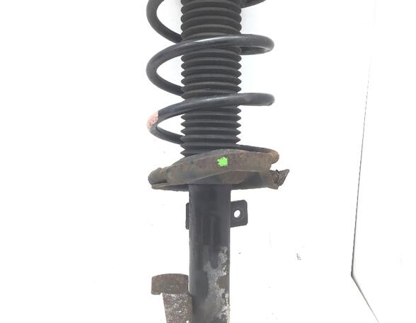 Suspension Strut FORD FOCUS C-MAX (DM2), FORD C-MAX (DM2), FORD KUGA I, FORD KUGA II (DM2)