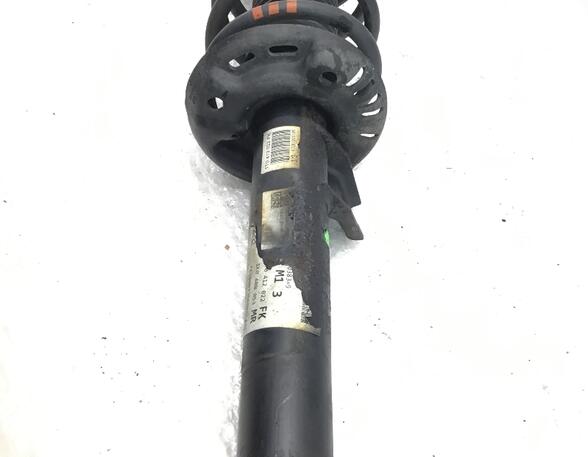 Suspension Strut VW TOURAN (1T1, 1T2), VW TOURAN (1T3)