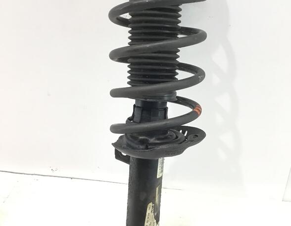 Suspension Strut VW TOURAN (1T1, 1T2), VW TOURAN (1T3)