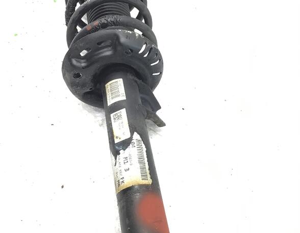 Suspension Strut VW TOURAN (1T1, 1T2), VW TOURAN (1T3)