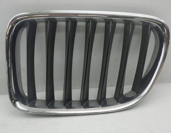 Radiateurgrille BMW X1 (E84)