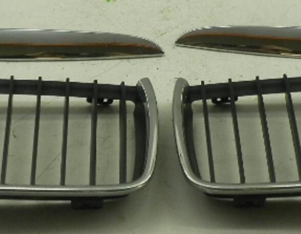 Radiator Grille BMW 3 Touring (E91)