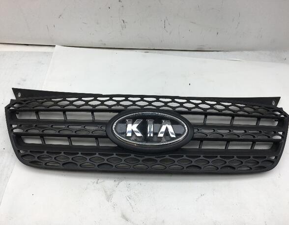 Radiateurgrille KIA Picanto (BA)