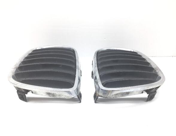 Radiator Grille BMW X3 (E83)