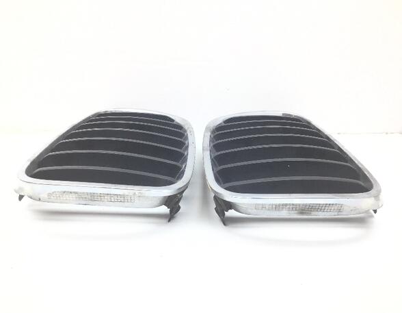 Radiator Grille BMW X3 (E83)