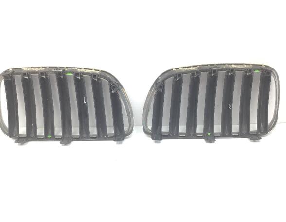 Radiator Grille BMW X3 (E83)