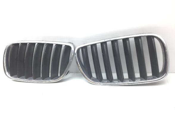 Radiator Grille BMW X3 (E83)