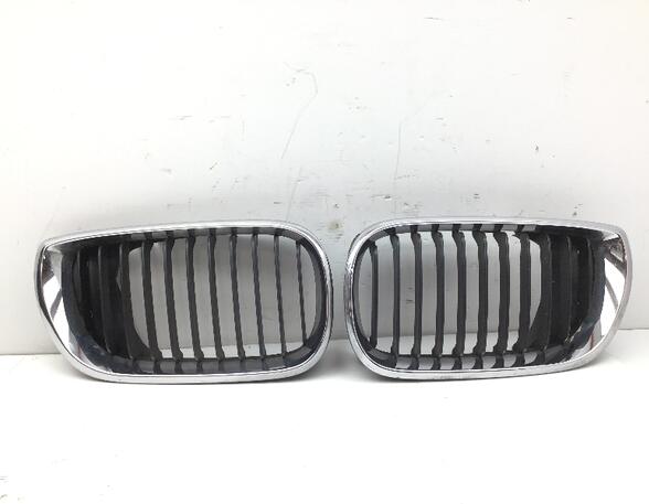 Radiateurgrille BMW 3 Touring (E46)