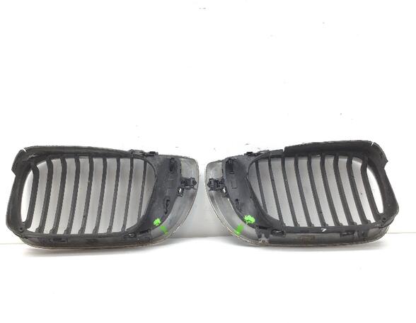 Radiateurgrille BMW 3 Touring (E46)