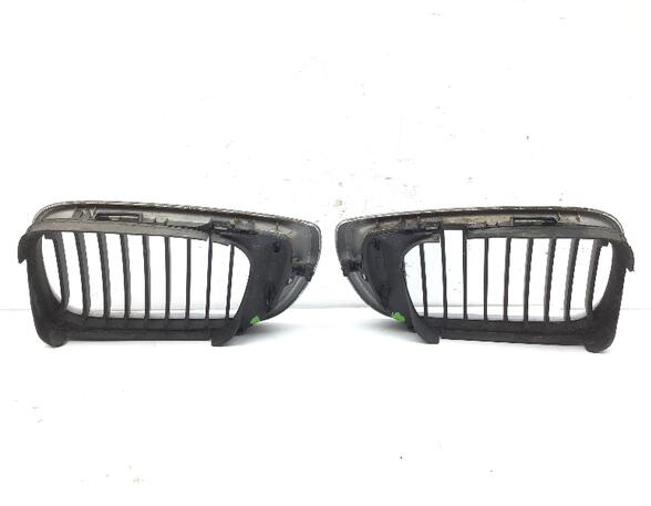 Radiateurgrille BMW 3 Touring (E46)